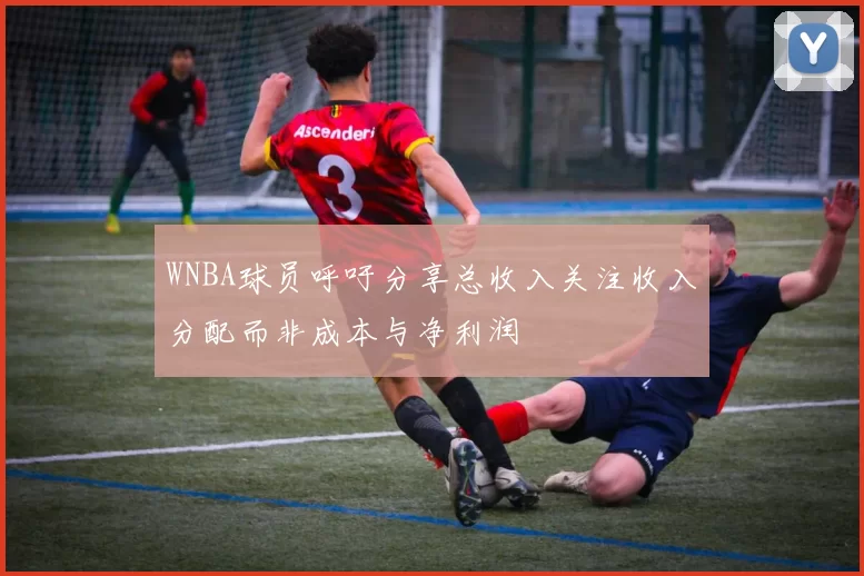 WNBA球员呼吁分享总收入关注收入分配而非成本与净利润