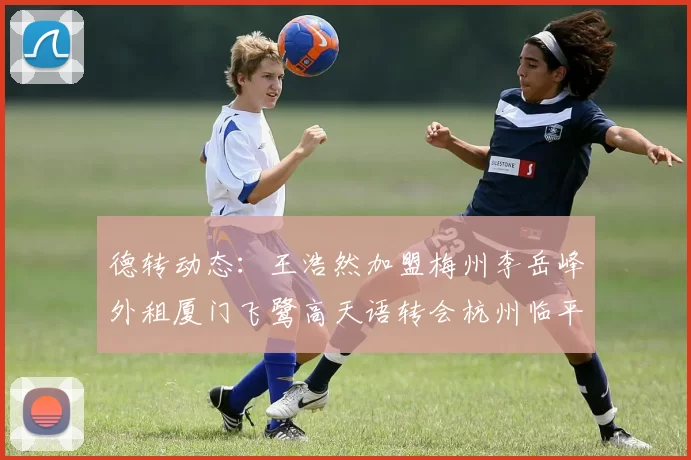 德转动态：王浩然加盟梅州李岳峰外租厦门飞鹭高天语转会杭州临平吴越
