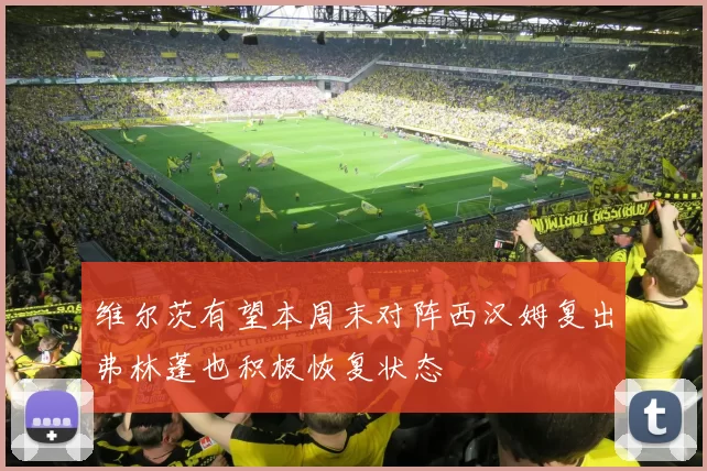维尔茨有望本周末对阵西汉姆复出弗林蓬也积极恢复状态